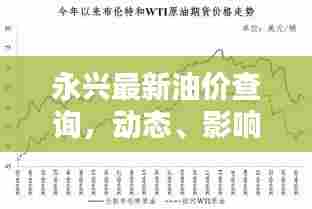 永兴最新油价查询，动态、影响因素全解析！