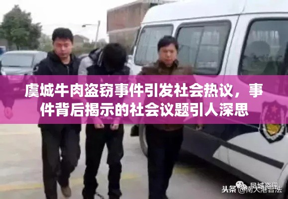 虞城牛肉盗窃事件引发社会热议,事件背后揭示的社会议题引人深思
