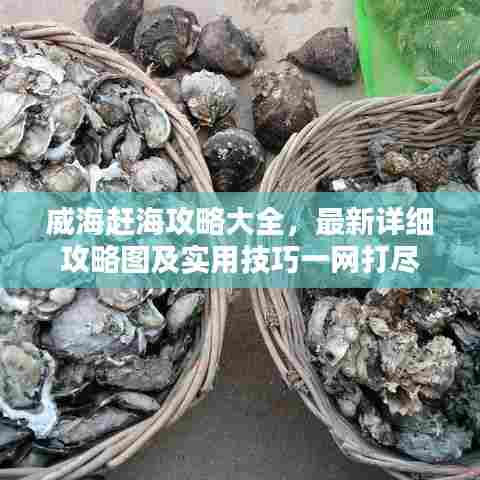 威海赶海攻略大全，最新详细攻略图及实用技巧一网打尽