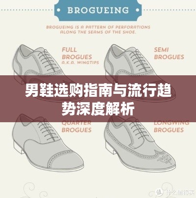 男鞋选购指南与流行趋势深度解析