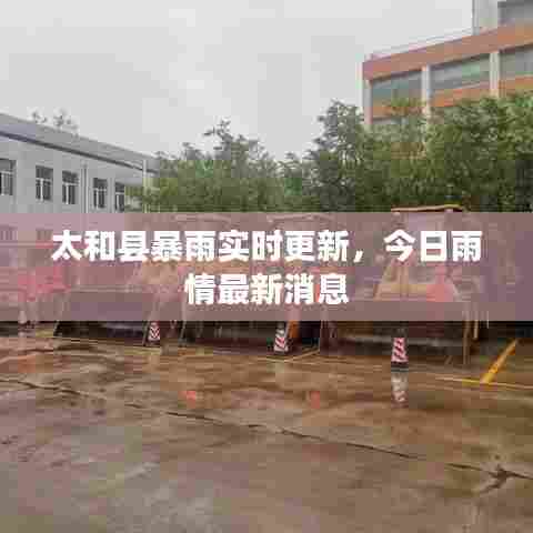 太和县暴雨实时更新，今日雨情最新消息