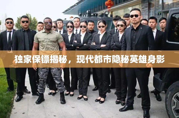 独家保镖揭秘，现代都市隐秘英雄身影