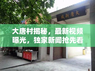 大唐村揭秘，最新视频曝光，独家新闻抢先看！