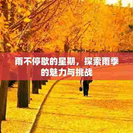 雨不停歇的星期，探索雨季的魅力与挑战