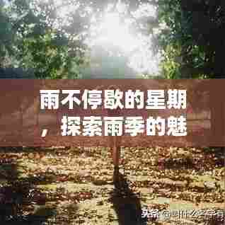 雨不停歇的星期,探索雨季的魅力与挑战
