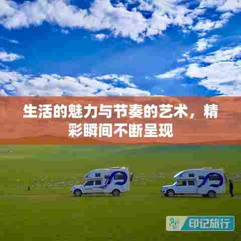 生活的魅力与节奏的艺术，精彩瞬间不断呈现