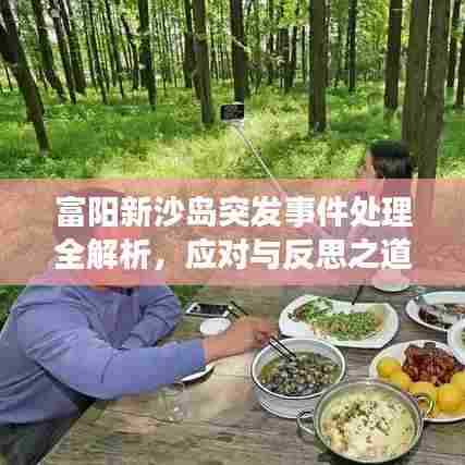 富阳新沙岛突发事件处理全解析,应对与反思之道