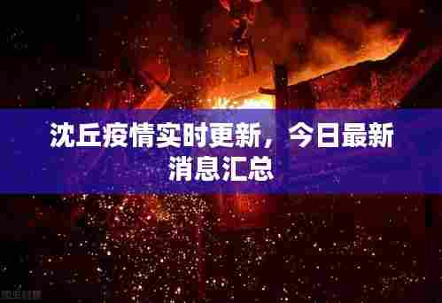 沈丘疫情实时更新，今日最新消息汇总