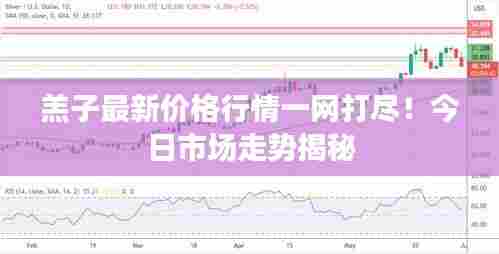 羔子最新价格行情一网打尽！今日市场走势揭秘