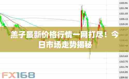 羔子最新价格行情一网打尽!今日市场走势揭秘