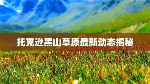 托克逊黑山草原最新动态揭秘