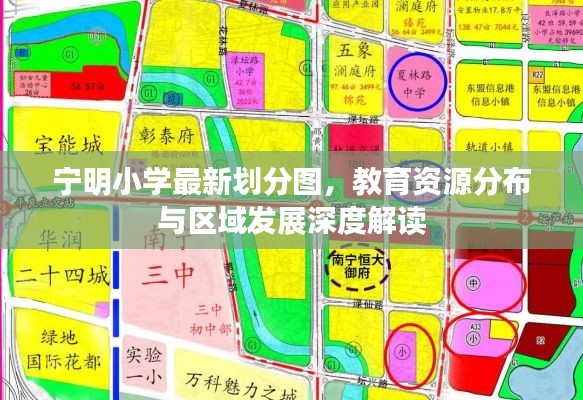 宁明小学最新划分图,教育资源分布与区域发展深度解读