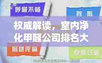 权威解读，室内净化甲醛公司排名大揭秘！