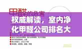 权威解读,室内净化甲醛公司排名大揭秘!