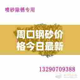 周口钢砂价格今日最新动态曝光！