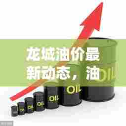 龙城油价最新动态，油价表更新及影响因素深度解析