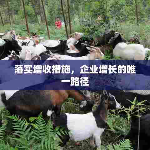 落实增收措施，企业增长的唯一路径