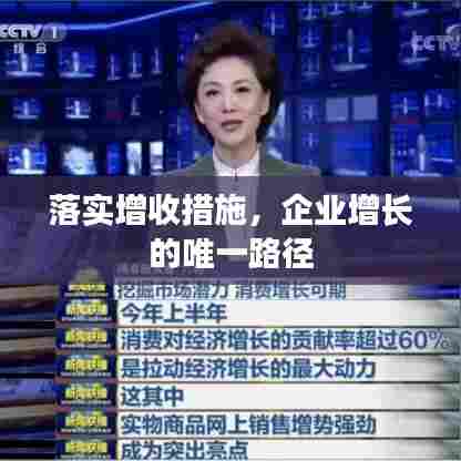 落实增收措施,企业增长的唯一路径