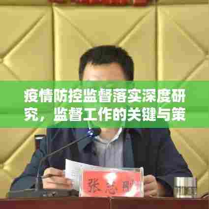 疫情防控监督落实深度研究,监督工作的关键与策略分析