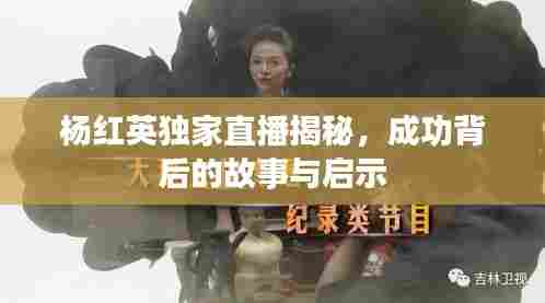 杨红英独家直播揭秘，成功背后的故事与启示