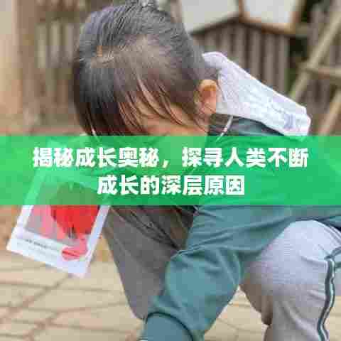 揭秘成长奥秘,探寻人类不断成长的深层原因