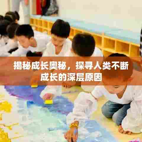 揭秘成长奥秘,探寻人类不断成长的深层原因