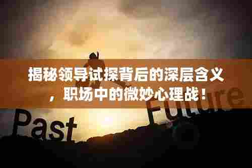 揭秘领导试探背后的深层含义，职场中的微妙心理战！