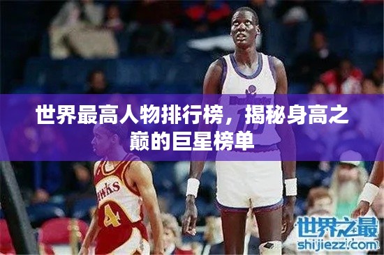 世界最高人物排行榜,揭秘身高之巅的巨星榜单