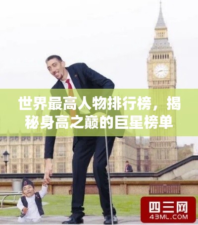 世界最高人物排行榜,揭秘身高之巅的巨星榜单