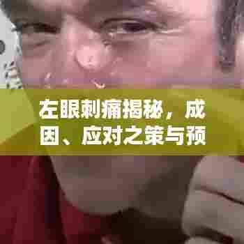 左眼刺痛揭秘,成因、应对之策与预防方法