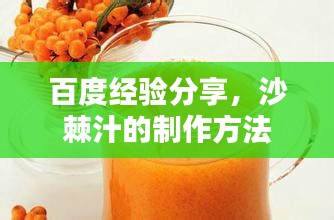 百度经验分享,沙棘汁的制作方法