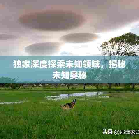独家深度探索未知领域，揭秘未知奥秘