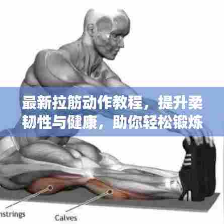 最新拉筋动作教程,提升柔韧性与健康,助你轻松锻炼!