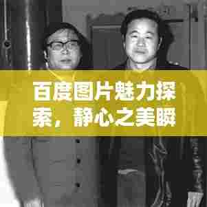 百度图片魅力探索，静心之美瞬间定格