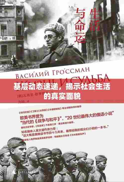 基层动态速递，揭示社会生活的真实面貌