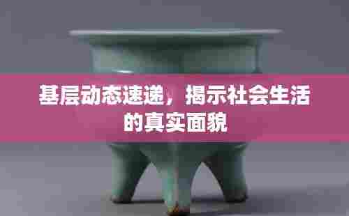 基层动态速递,揭示社会生活的真实面貌
