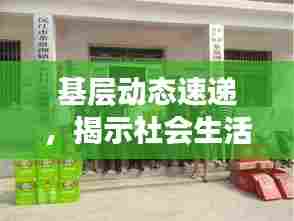 基层动态速递,揭示社会生活的真实面貌