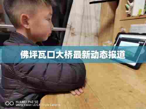 佛坪瓦口大桥最新动态报道