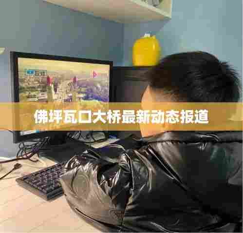 佛坪瓦口大桥最新动态报道