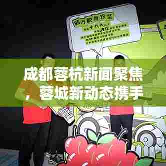 成都蓉杭新闻聚焦，蓉城新动态携手区域合作开启新篇章