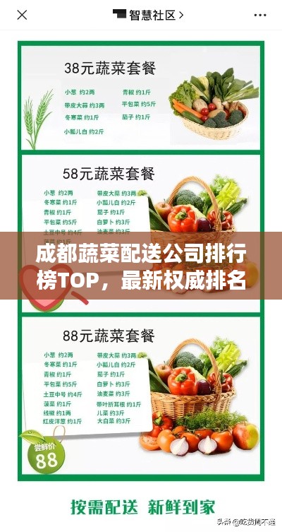 成都蔬菜配送公司排行榜TOP,最新权威排名一览