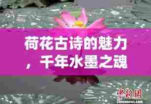 荷花古诗的魅力，千年水墨之魂的绽放