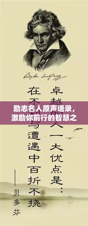 励志名人原声语录，激励你前行的智慧之声
