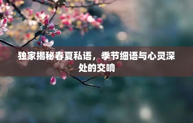 独家揭秘春夏私语，季节细语与心灵深处的交响