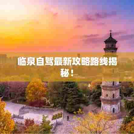 张皇铺饰 第6页