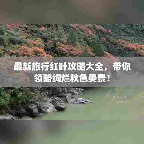 最新旅行红叶攻略大全,带你领略绚烂秋色美景!