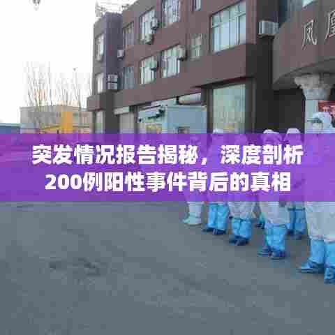 突发情况报告揭秘,深度剖析200例阳性事件背后的真相