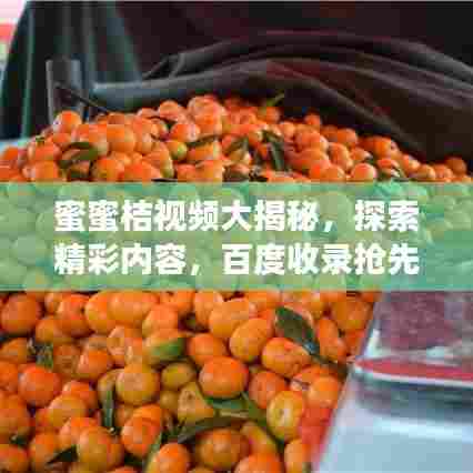 蜜蜜桔视频大揭秘，探索精彩内容，百度收录抢先看！
