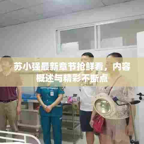 苏小强最新章节抢鲜看,内容概述与精彩不断点