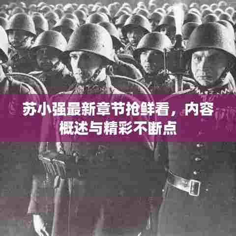 苏小强最新章节抢鲜看,内容概述与精彩不断点